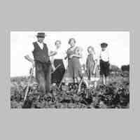 012-0017 Friederikenruh am 05. Juli 1937. Bauer Gustav Schoen mit seinen Kindern beim Ruebenhacken .jpg
